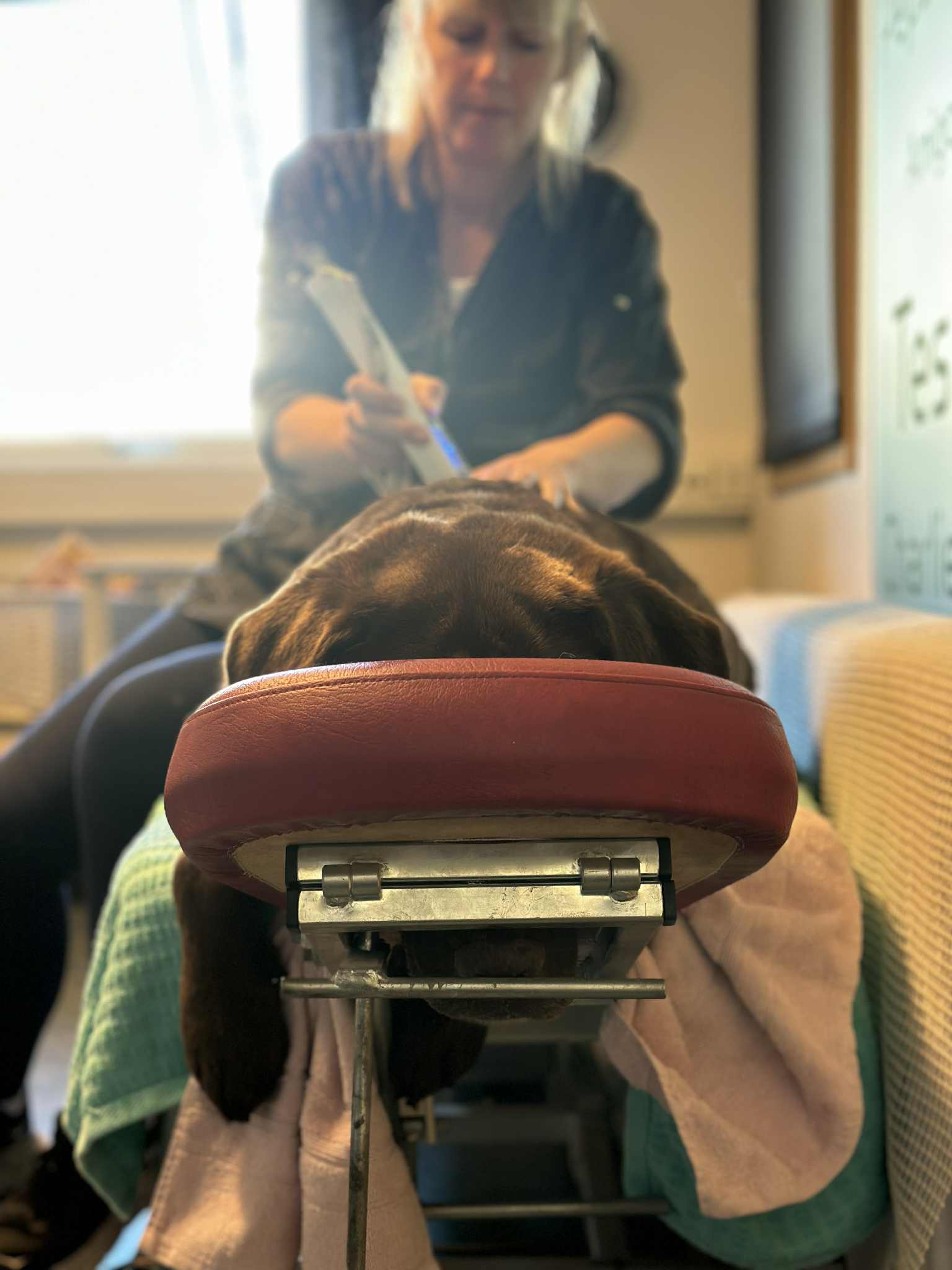 Experience image